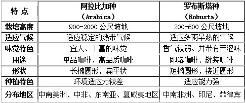 阿拉比卡與羅布斯塔 阿拉比卡咖啡豆 羅布斯塔咖啡豆風味有什麼不