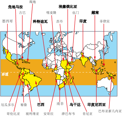 阿拉比卡豆 阿拉比卡豆的特色  咖啡產國印度尼西亞  咖啡豆印度