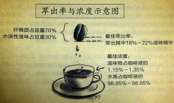 世界咖啡產國哥倫比亞咖啡哥倫比亞咖啡文化咖啡豆卡杜拉鐵畢卡