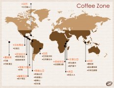 也門 來自咖啡故鄉的咖啡豆 全日曬咖啡豆