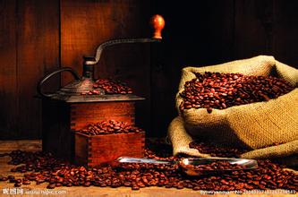 精品咖啡巴拿馬咖啡莊園巴拿馬咖啡產區