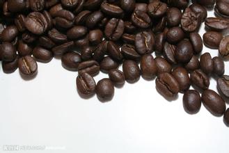 怎麼使用手搖咖啡磨豆機 咖啡的分類