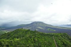 新東方精品咖啡莊園 黑咖啡 咖啡產地 種咖啡豆