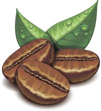 林東曼特寧咖啡的風味描述研磨刻度產地區處理法口感介紹
