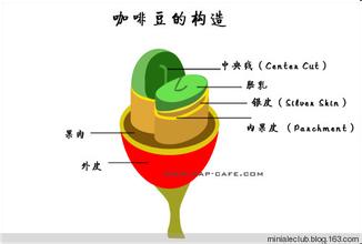 尼加拉瓜咖啡豆的口感風味莊園產地區品種研磨刻度介紹