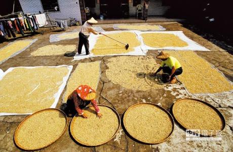 燭芒咖啡風味特點口感研磨刻度產地區品種簡介