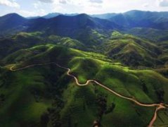 雲南小粒咖啡花果山咖啡豆產區情況 雲南花果山風味特點