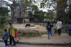 動物園園長構想——在獸籠喝咖啡