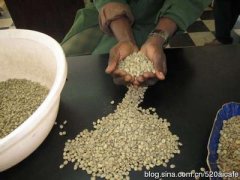 酸度極佳的布隆迪精品咖啡豆起源發展歷史文化簡介