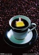 活潑酸味的西達摩精品咖啡豆起源發展歷史文化簡介