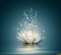 甜味醇厚的拉丁美洲精品咖啡豆種植情況地理位置氣候海拔簡介