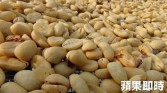 印尼陳年曼特寧G1水洗精品咖啡豆種類、品牌推薦及莊園