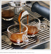 【咖啡常識】意式濃縮咖啡的黃金萃取， 影響Espresso口感的12個