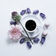 薩爾瓦多茶花女莊園單品豆產區介紹 茶花女莊園單品豆怎麼沖泡