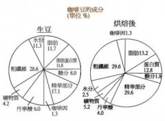 科普 | 咖啡豆的營養與成份分析