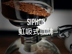 如茶般甘甜的風味、要求精確的衝煮：虹吸式咖啡