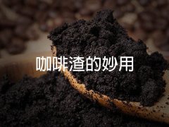 咖啡渣的十二大妙用——居然可以洗臉洗頭？