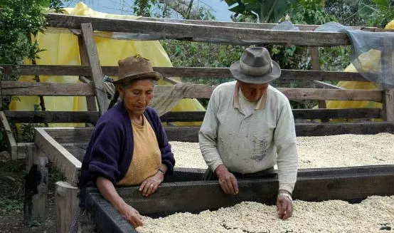 危地馬拉咖啡產區微微特南果之基督山莊園EP水洗波旁卡度拉C.O.E.