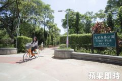 北市借鏡高雄經驗　大安森林公園內將建咖啡館飄咖啡香