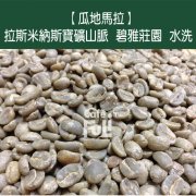 危地馬拉拉斯米納斯寶礦山脈碧雅莊園水洗薇拉莎奇種咖啡風味口感