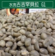 埃塞俄比亞水洗古吉罕貝拉 G1咖啡豆風味口感香氣特點描述