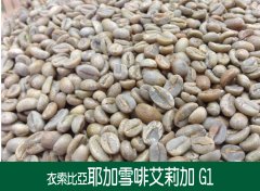 埃塞俄比亞 日曬 耶加雪啡艾莉加 G1咖啡風味口感香氣描述