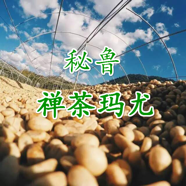 祕魯禪茶瑪悠SHB精品咖啡生豆Peru原產地進口有機咖啡禪茶瑪尤