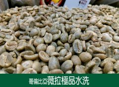 哥倫比亞 薇拉極品水洗卡杜拉咖啡風味口感香氣描述