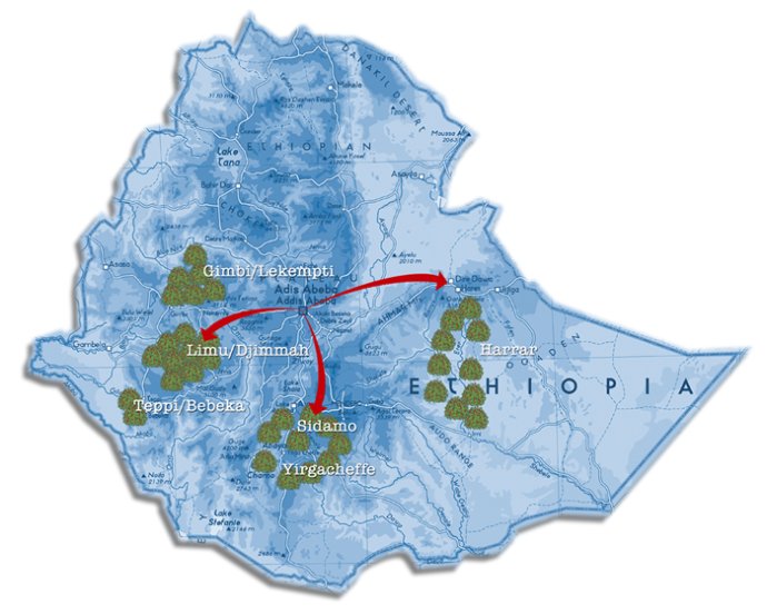 埃塞俄比亞Ethiopia精品咖啡產區Harar哈拉是埃塞俄比亞東部產區