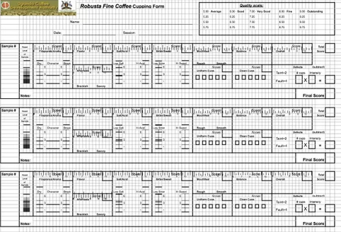 關於 Robusta Q-Grader，羅布斯塔Robusta Grader考試