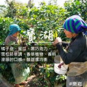 危地馬拉薇薇特南果-寶湖莊園信息資料 水洗寶湖莊園咖啡風味描述