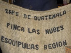 危地馬拉首屆CoE冠軍莊園雲霧莊園Guatemala Finca Las Nubes