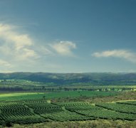 薩爾瓦多埃爾塞羅農場（EL Cerro）介紹 卡哈馬卡水洗帕卡馬拉