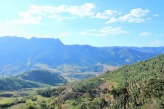 巴西高景莊園Fazenda Alta Vista簡介創新風味處理法蜜處理黃波旁