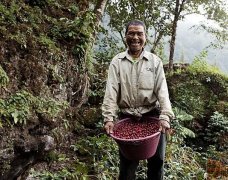 2017危地馬拉熱門咖啡豆-危地馬拉薇薇高原拉伯莎莊園波旁種咖啡