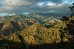 洪都拉斯咖啡怎麼樣衝 洪都拉斯咖啡產地班迪西農場Mi Bendicion