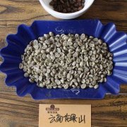 雲南小粒咖啡水洗鐵皮卡種講解 雲南咖啡烘焙建議及衝煮參數