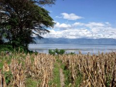 危地馬拉火山咖啡區阿蒂特蘭湖產區 艾提蘭湖 Lago de Atitlán