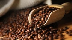 巴布亞新幾內亞咖啡PAPUA New Guinea coffee拉馬俐河谷精品咖啡