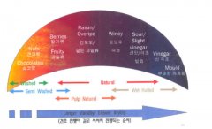 印尼咖啡豆溼刨法對曼特寧有什麼影響？曼特寧爲什麼要用溼刨法？