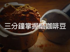 研磨咖啡怎麼喝 現磨現煮，風味最好 三分鐘掌握如何磨咖啡豆