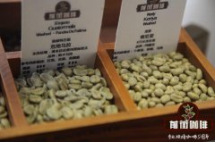 史上最全的單品咖啡種類及特點講解 一般的咖啡店你絕對找不齊！