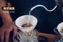 如何區別市場上的真假“黃金曼特寧”？曼特寧咖啡豆的基本認知