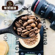 哥斯達黎加塔拉珠咖啡手衝參數 哥斯達黎加咖啡豆烘焙特點故事