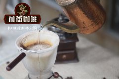 黑咖啡與白咖啡哪個更健康？白咖啡哪個牌子好喝又不貴