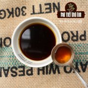 藍山咖啡是什麼？藍山咖啡的故事你知道嗎？衝煮參數建議。