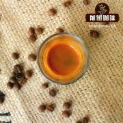 espresso咖啡機nanopresso開箱評測 espresso與ristretto的區別