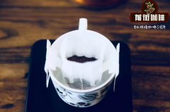 速溶咖啡怎麼泡好喝？速溶咖啡可以減肥嗎？羅布斯塔豆怎樣