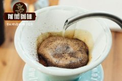 KINTO OCT八角濾杯 甜感衝法示範 怎麼衝煮？