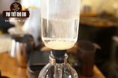 黑象牙咖啡-象屎咖啡多少錢一杯 象糞咖啡製造全程照片紀錄